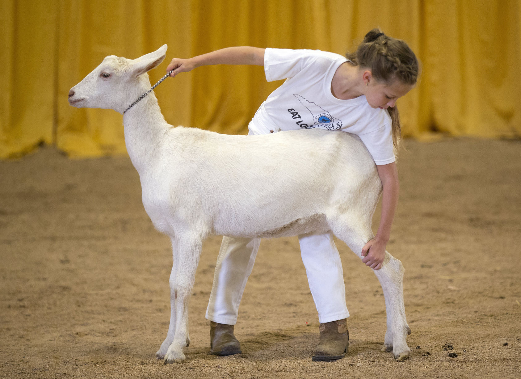2017 N.C. State Fair
